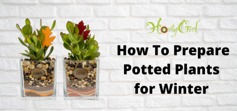 4-easy-methods-to-prepare-potted-plants-for-winter-potted-plants